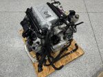 5.2 Predator engine Online